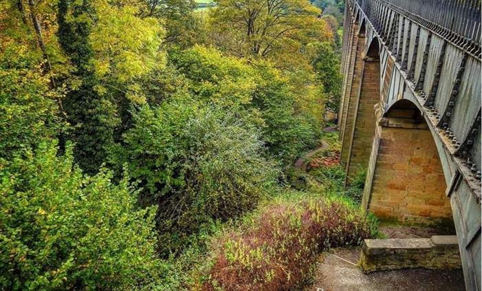 A view of the Poncysyllte Aqueduct edged by trees.